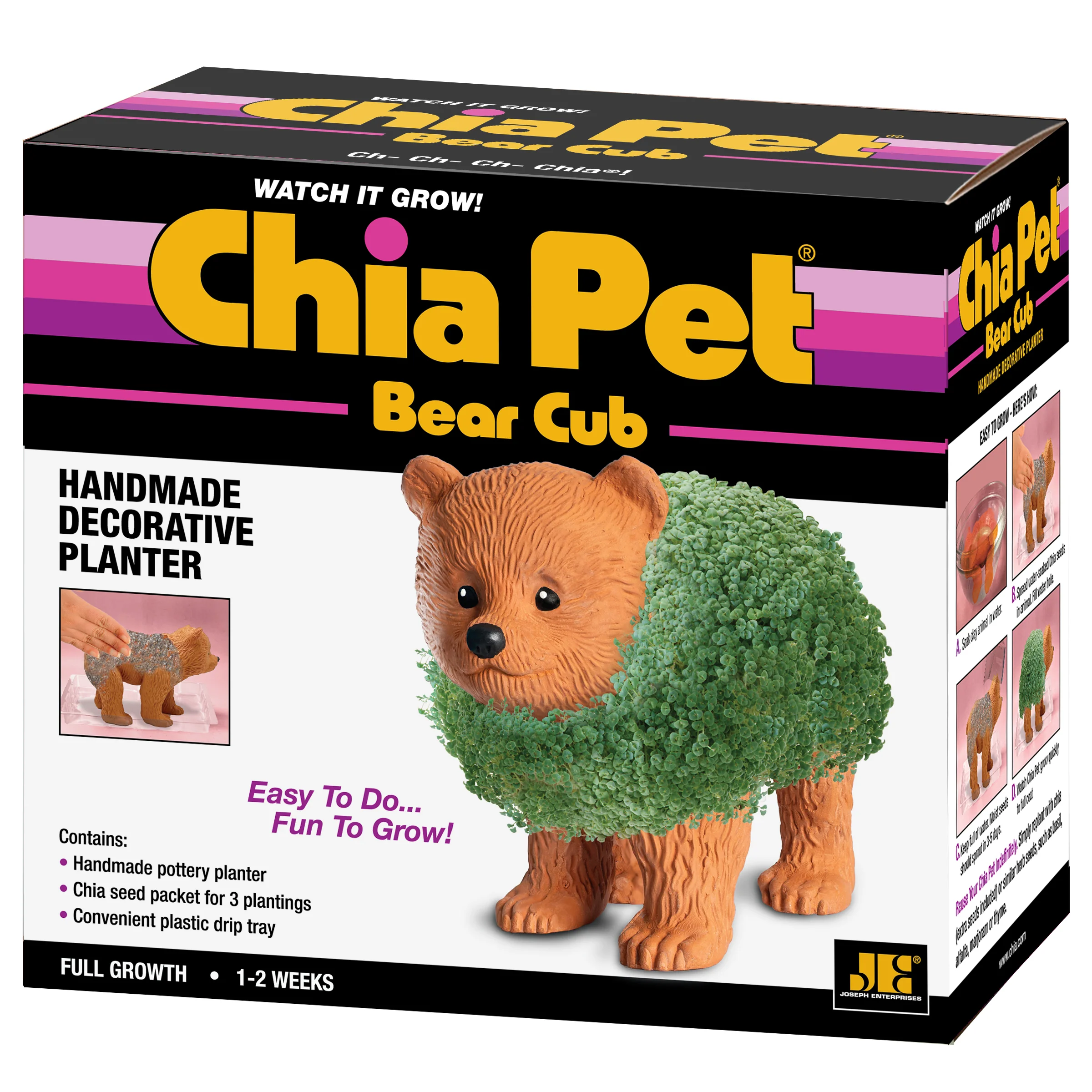 Bear Cub Chia Pet® - Image 3