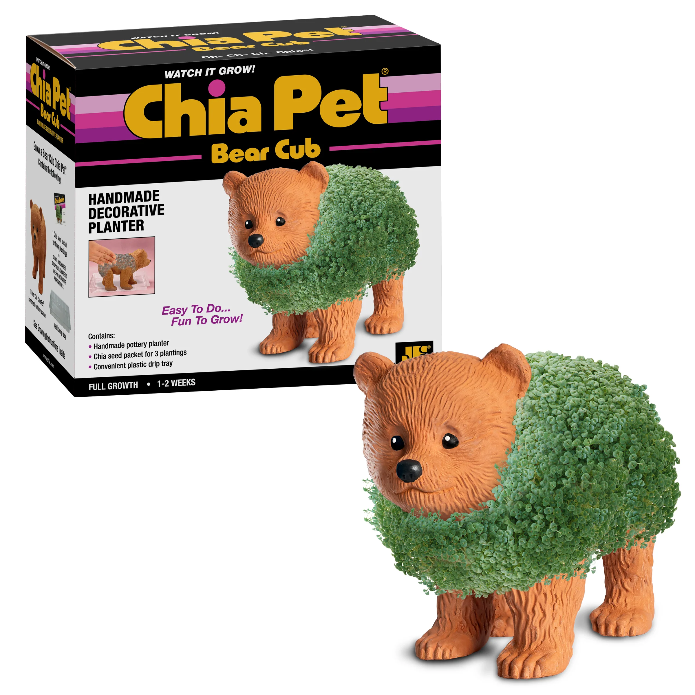 Bear Cub Chia Pet® - Image 5