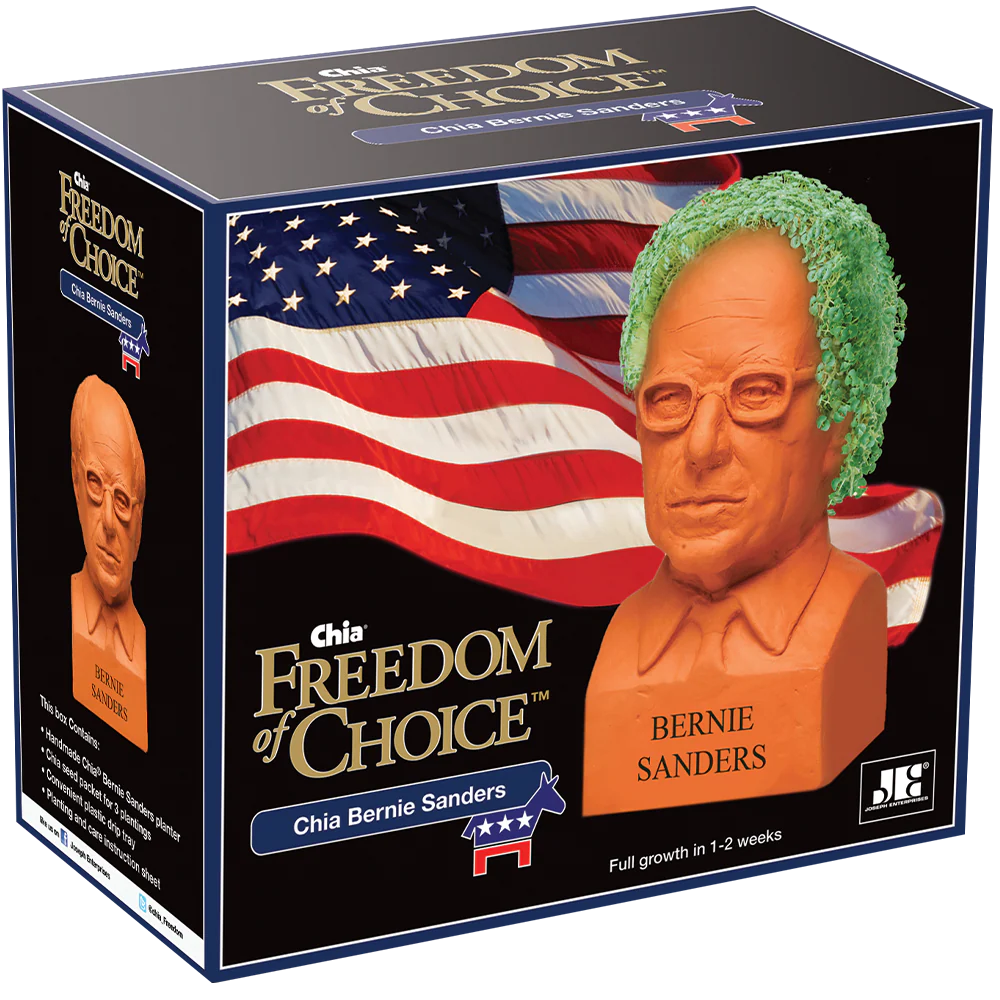 Bernie Sanders Chia Pet® - Image 5