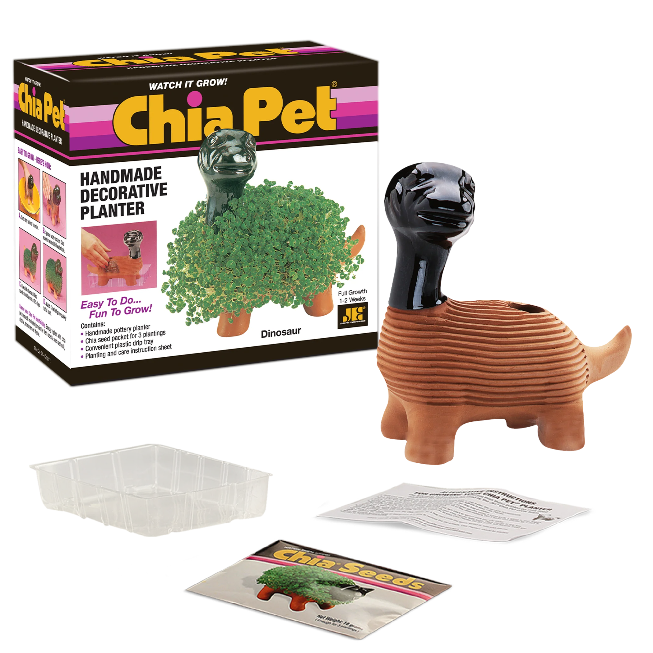 Classic Dinosaur Chia Pet® - Image 5