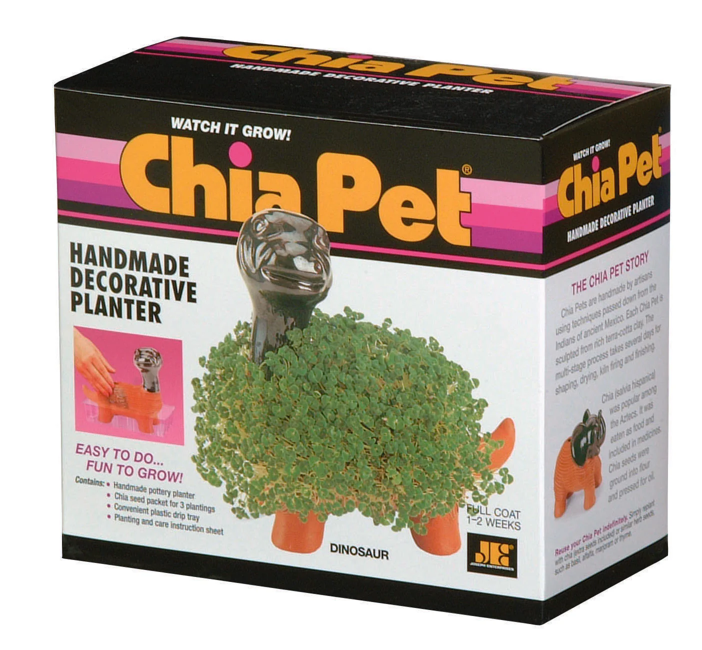 Classic Dinosaur Chia Pet® - Image 7