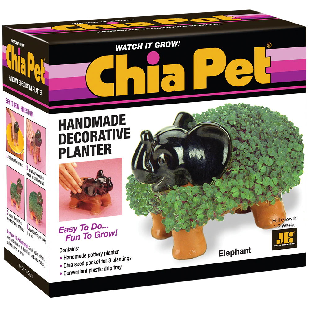 Classic Elephant Chia Pet® - Image 6