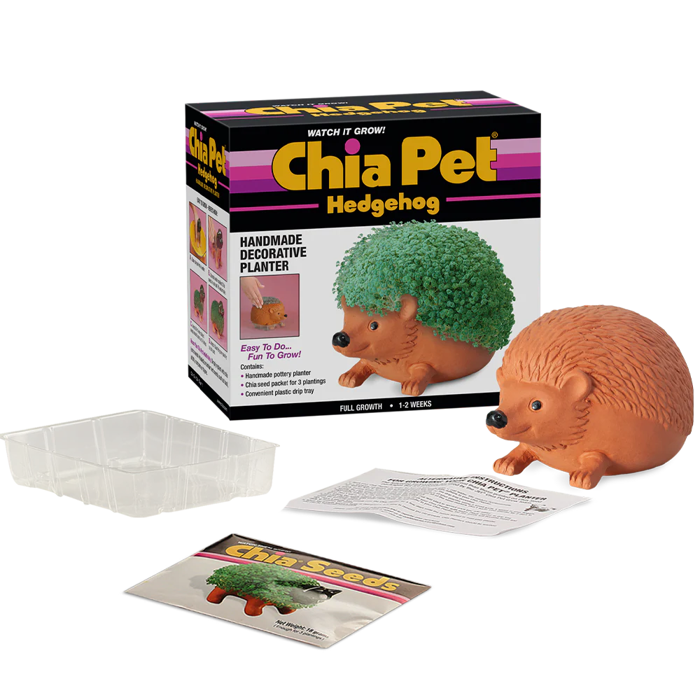 Classic Hedgehog Chia Pet® - Image 4