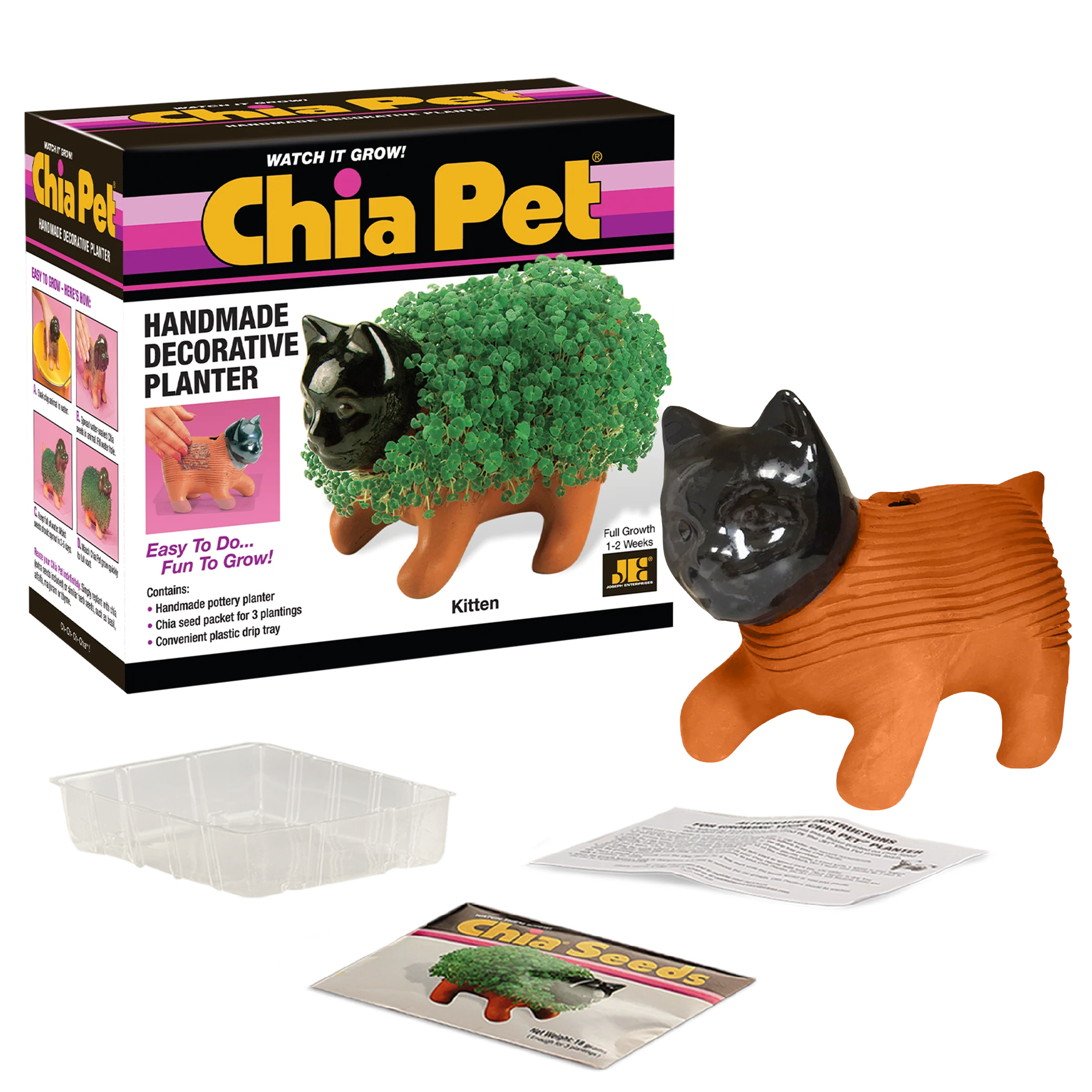 Classic Kitten Chia Pet® - Image 4