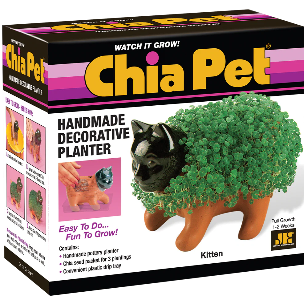 Classic Kitten Chia Pet® - Image 5