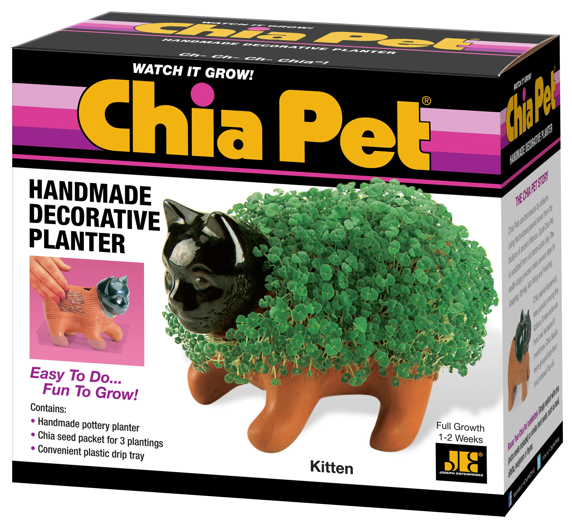 Classic Kitten Chia Pet® - Image 6