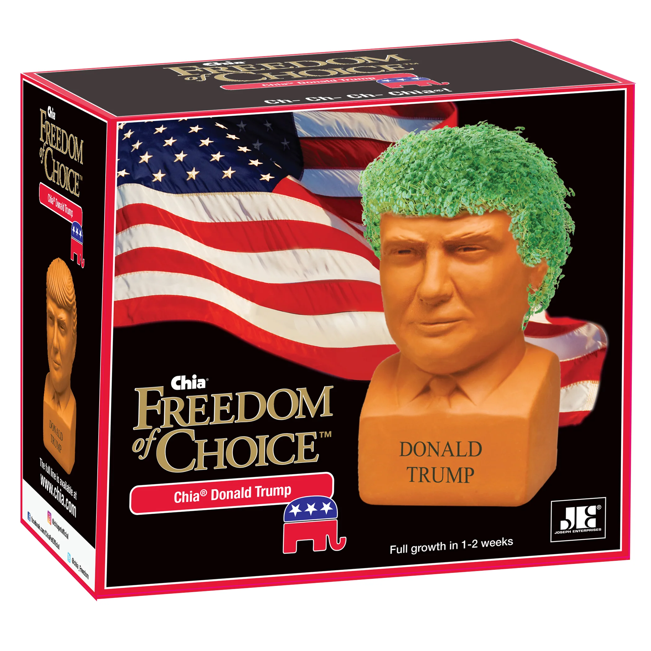 Donald Trump Chia Pet® - Image 5