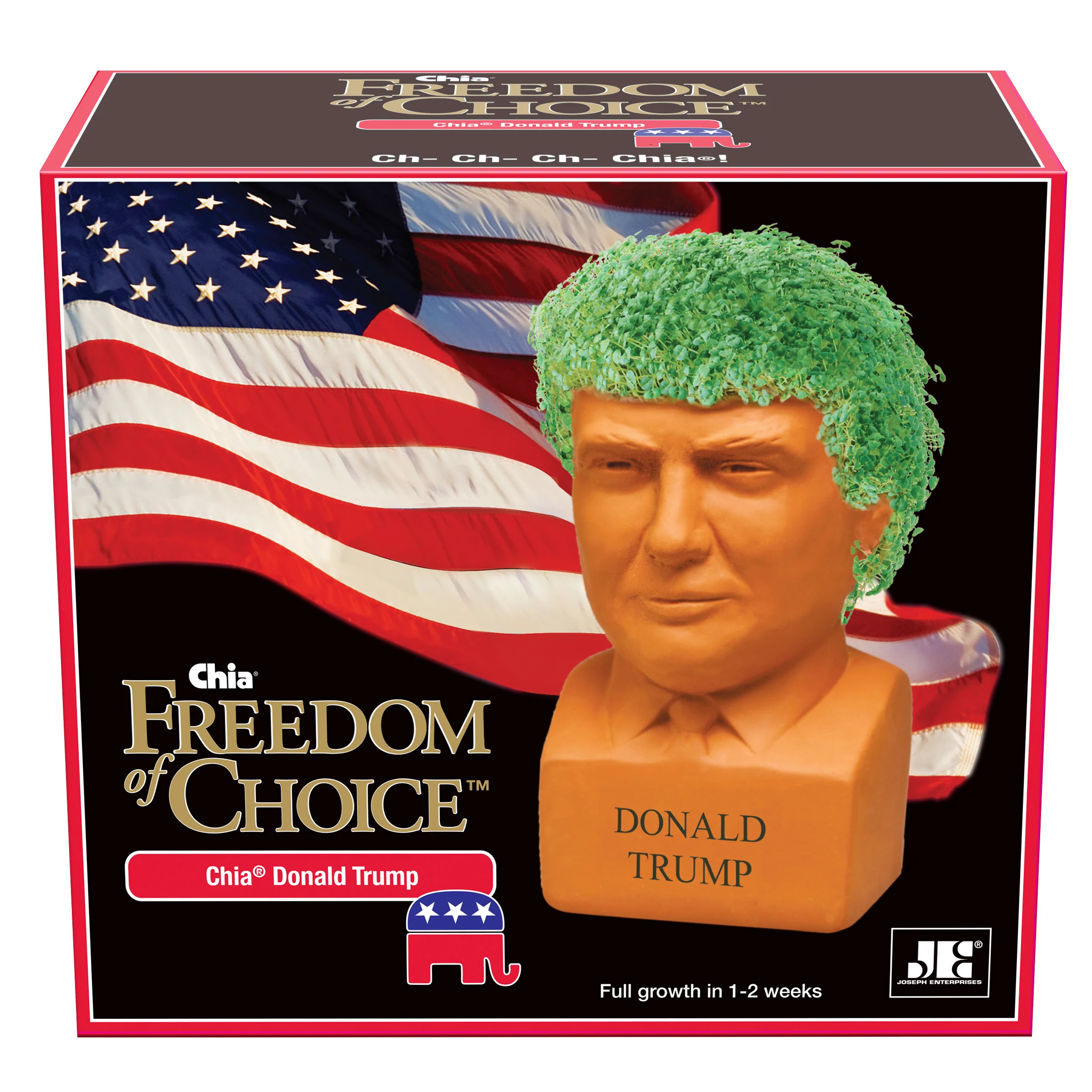 Donald Trump Chia Pet® - Image 6