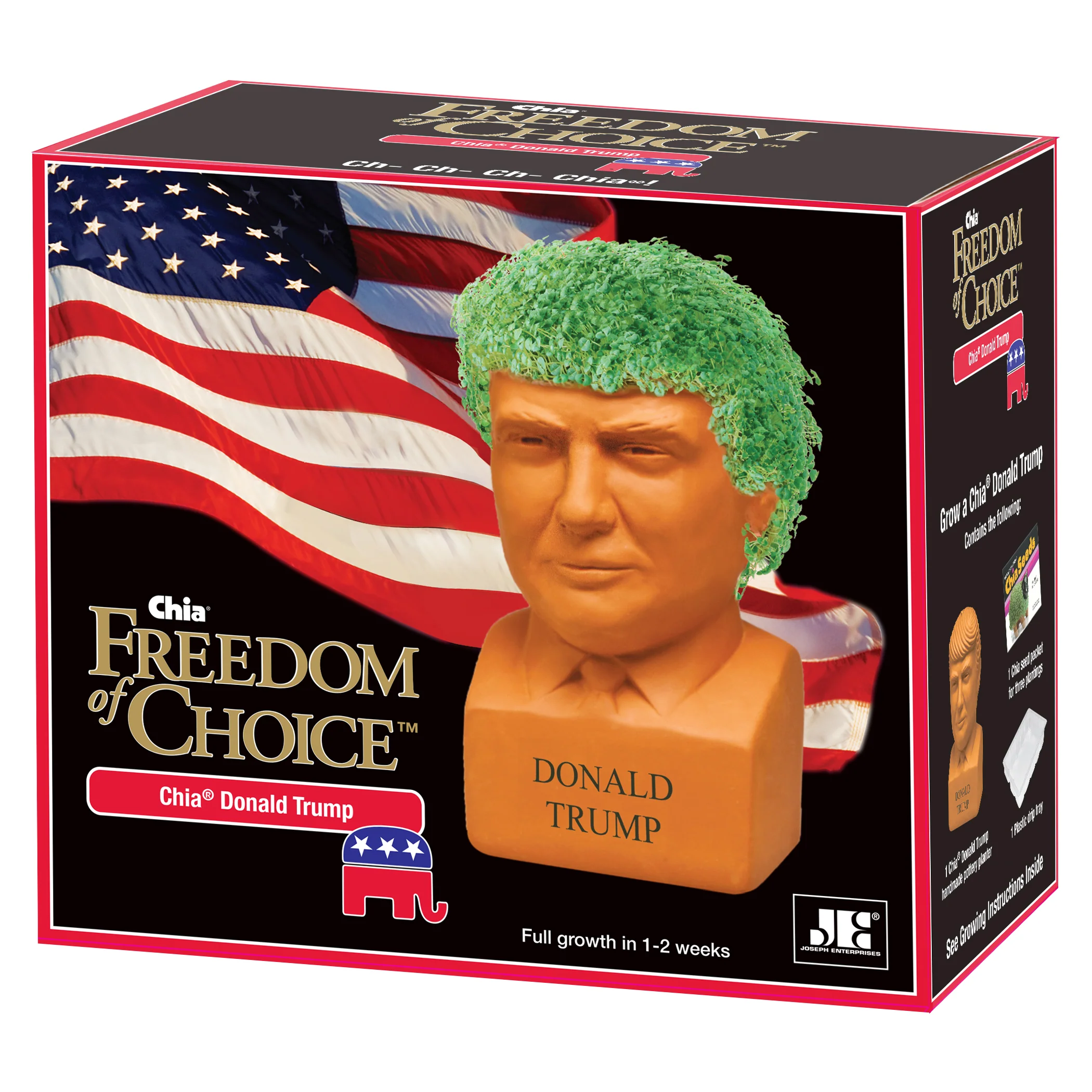 Donald Trump Chia Pet® - Image 7
