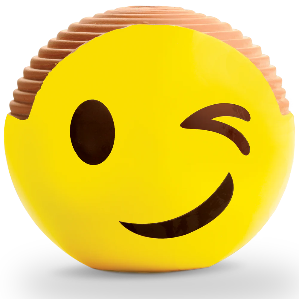 Emoji Winky Chia Pet® - Image 3