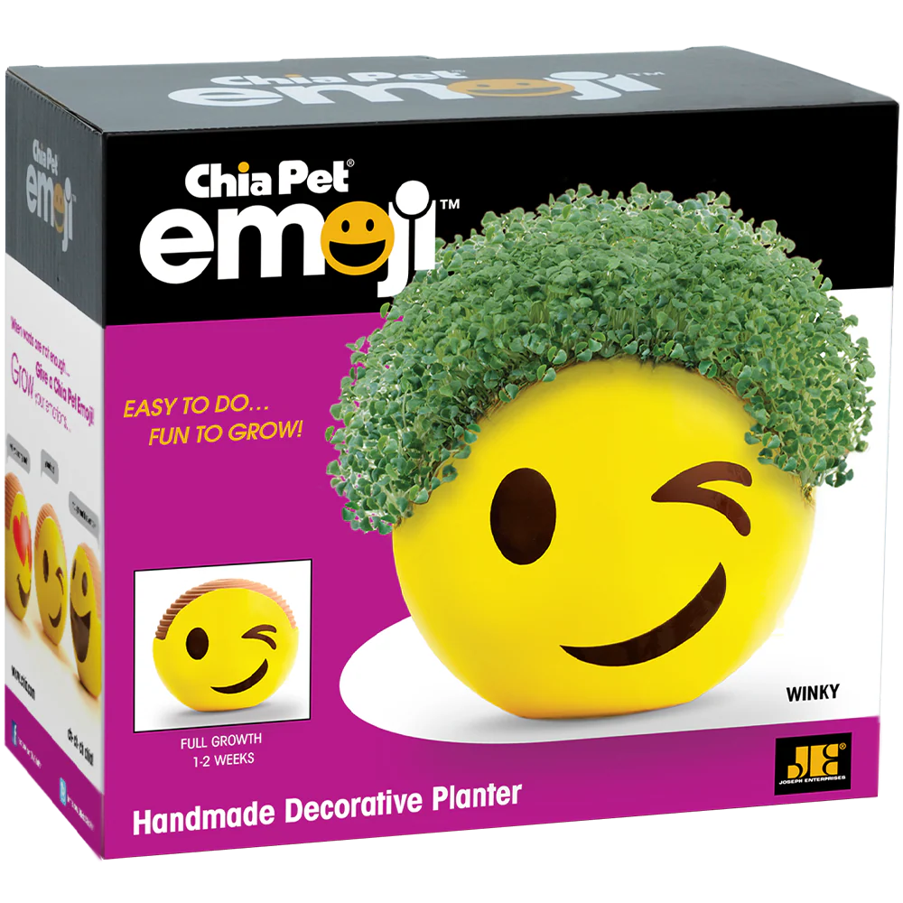 Emoji Winky Chia Pet® - Image 5