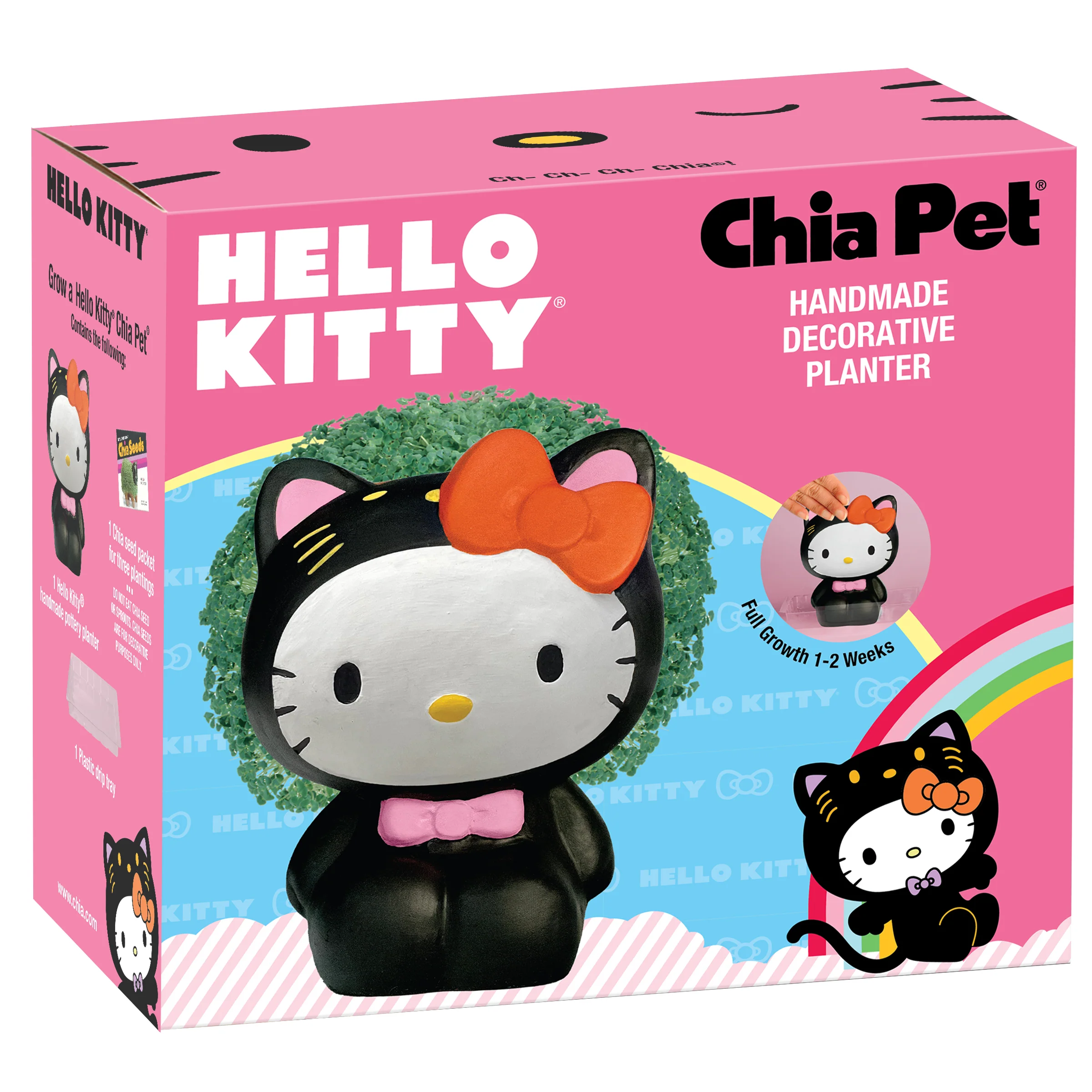 Hello Kitty® in Kitten Costume Chia Pet® - Image 4