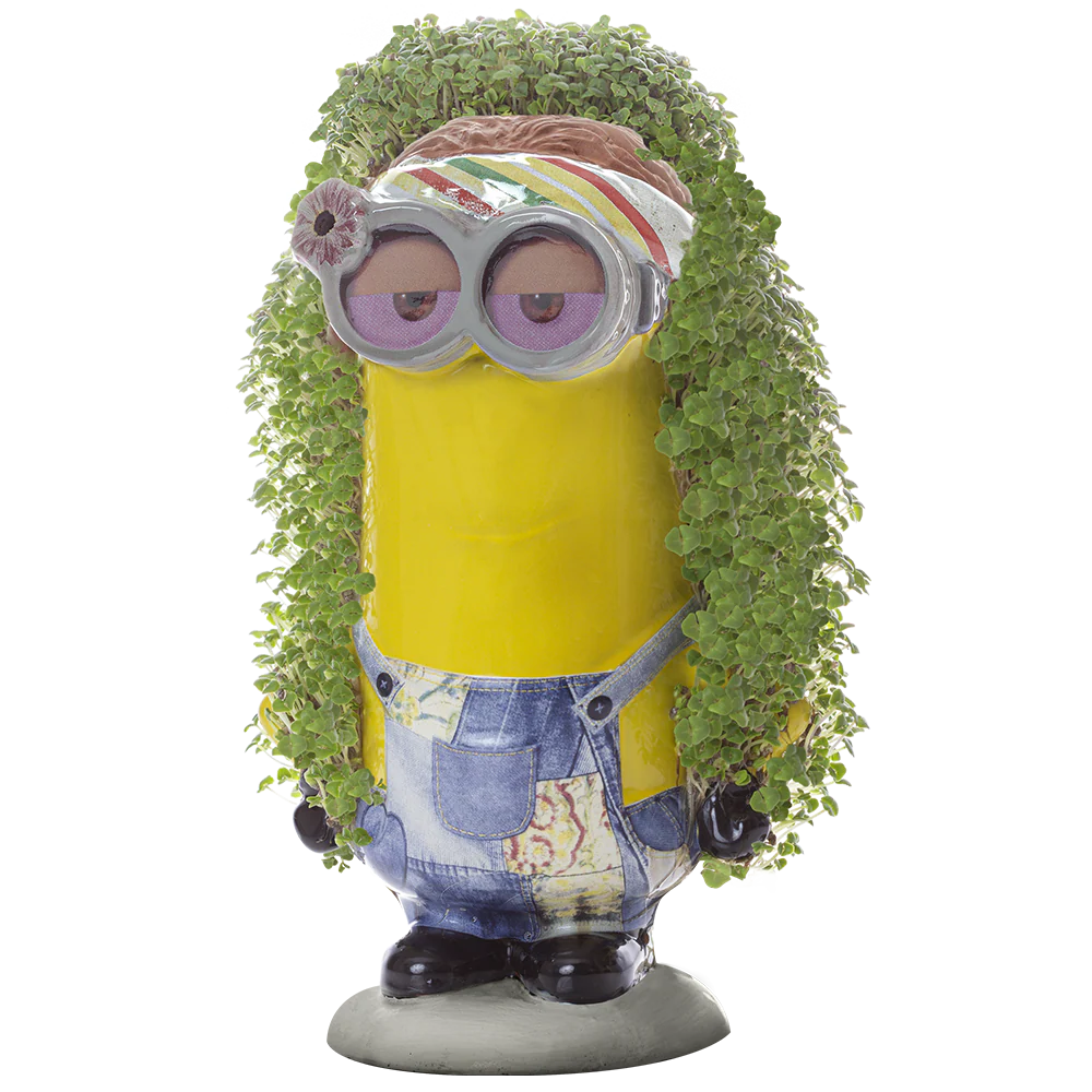 Minions Kevin Chia Pet® - Image 6