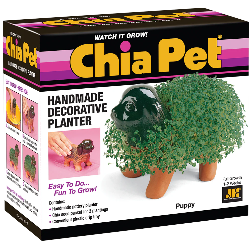Original Puppy Chia Pet® - Image 5