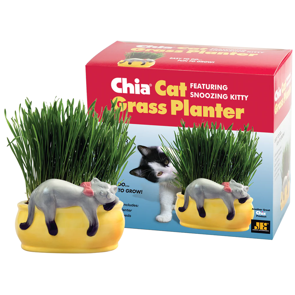 Snoozing Kitty Chia® Cat Grass Planter - Image 4