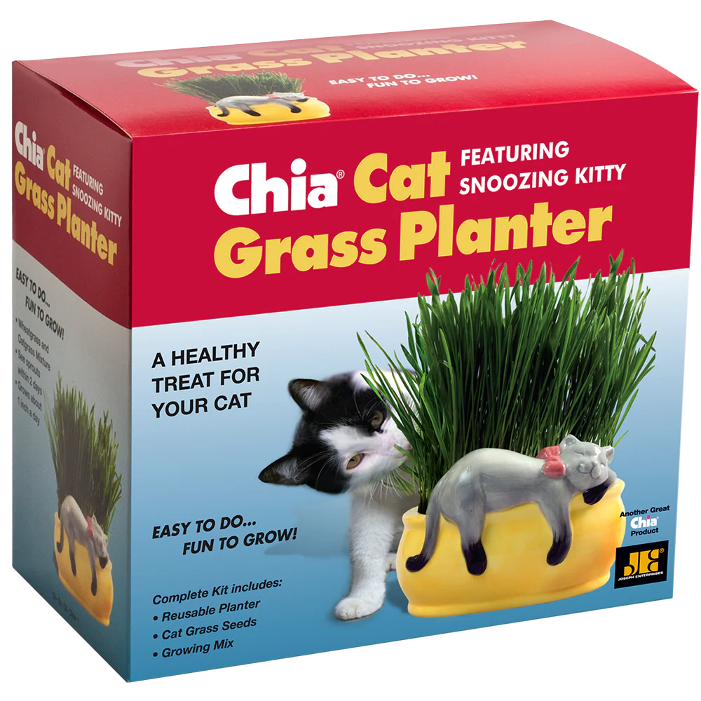 Snoozing Kitty Chia® Cat Grass Planter - Image 5