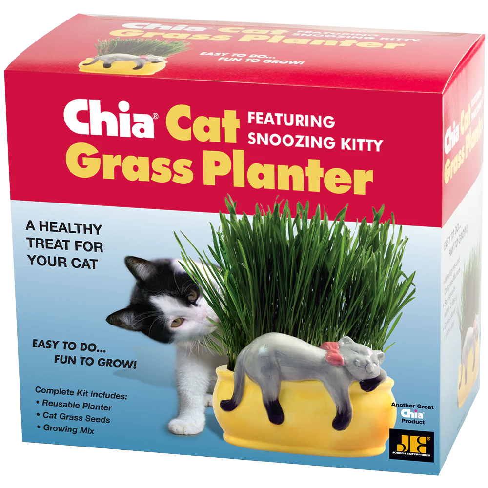 Snoozing Kitty Chia® Cat Grass Planter - Image 6