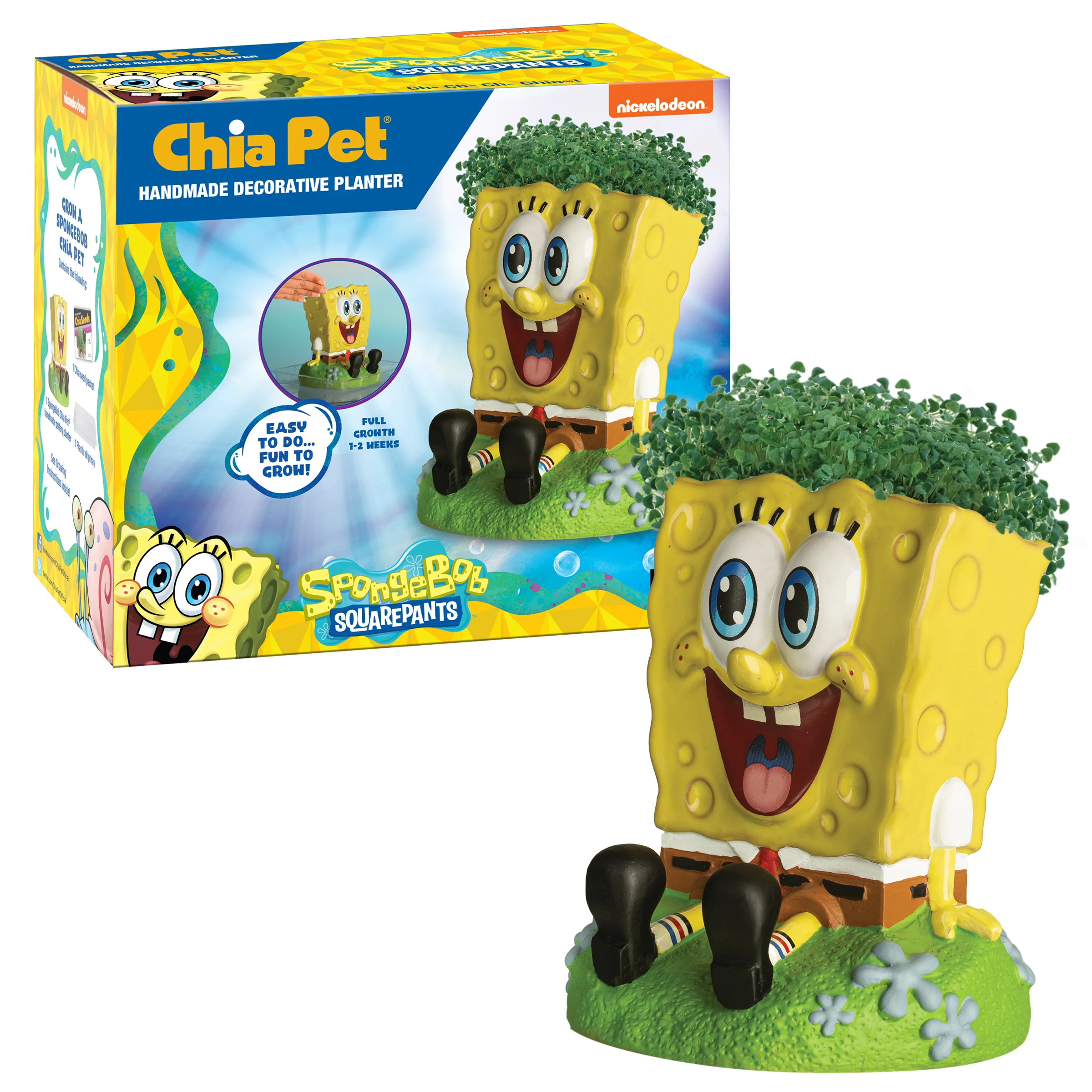 SpongeBob SquarePants Chia Pet® - Image 4