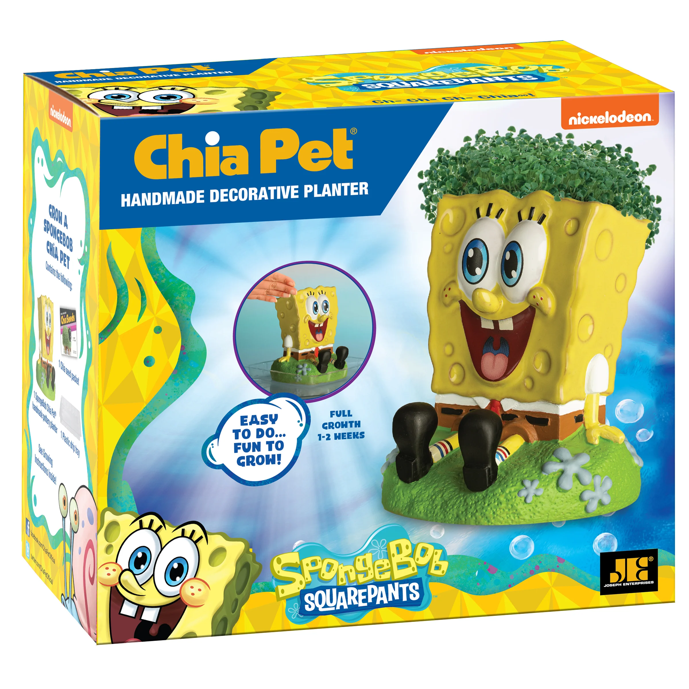 SpongeBob SquarePants Chia Pet® - Image 5