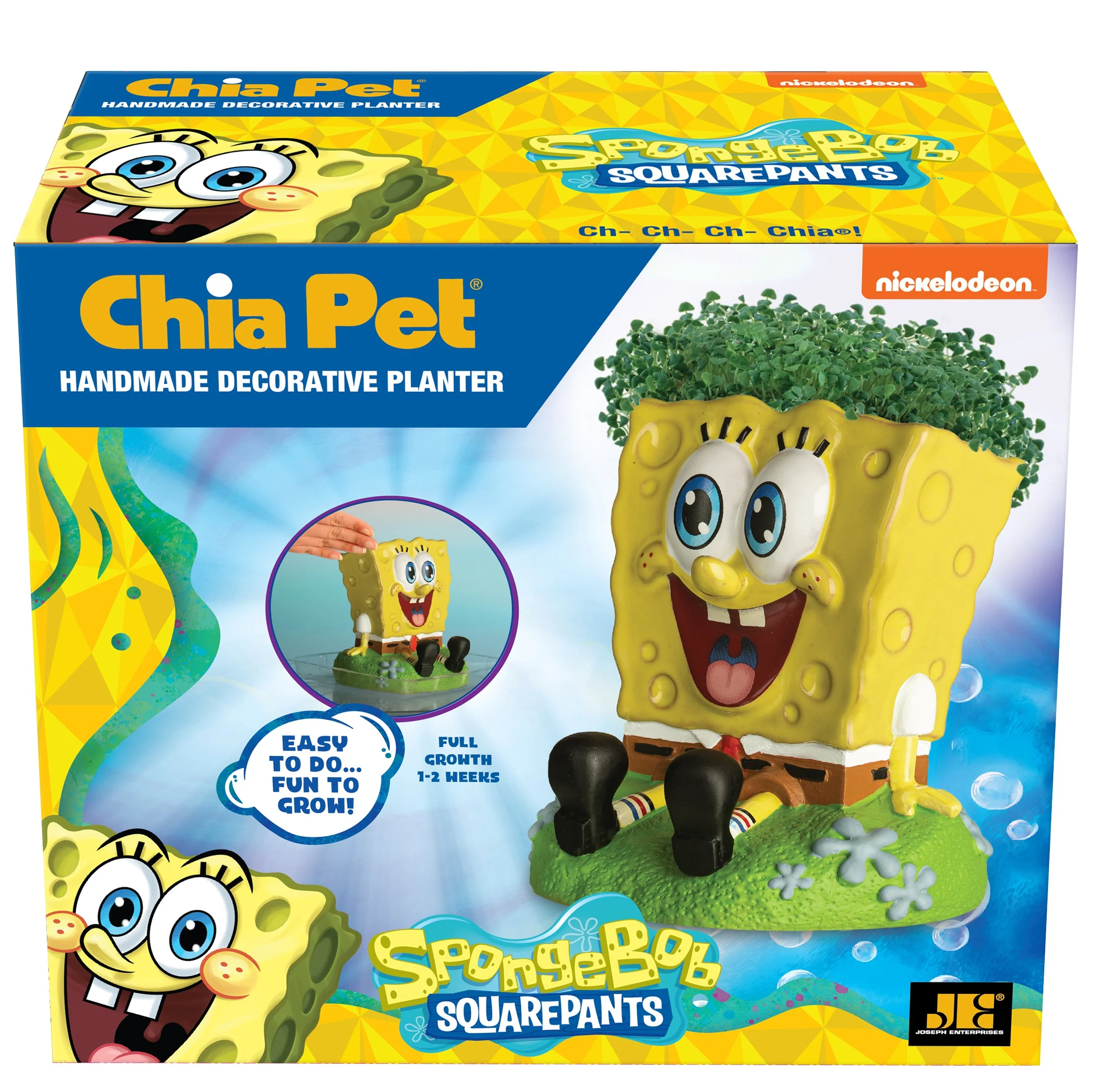 SpongeBob SquarePants Chia Pet® - Image 6