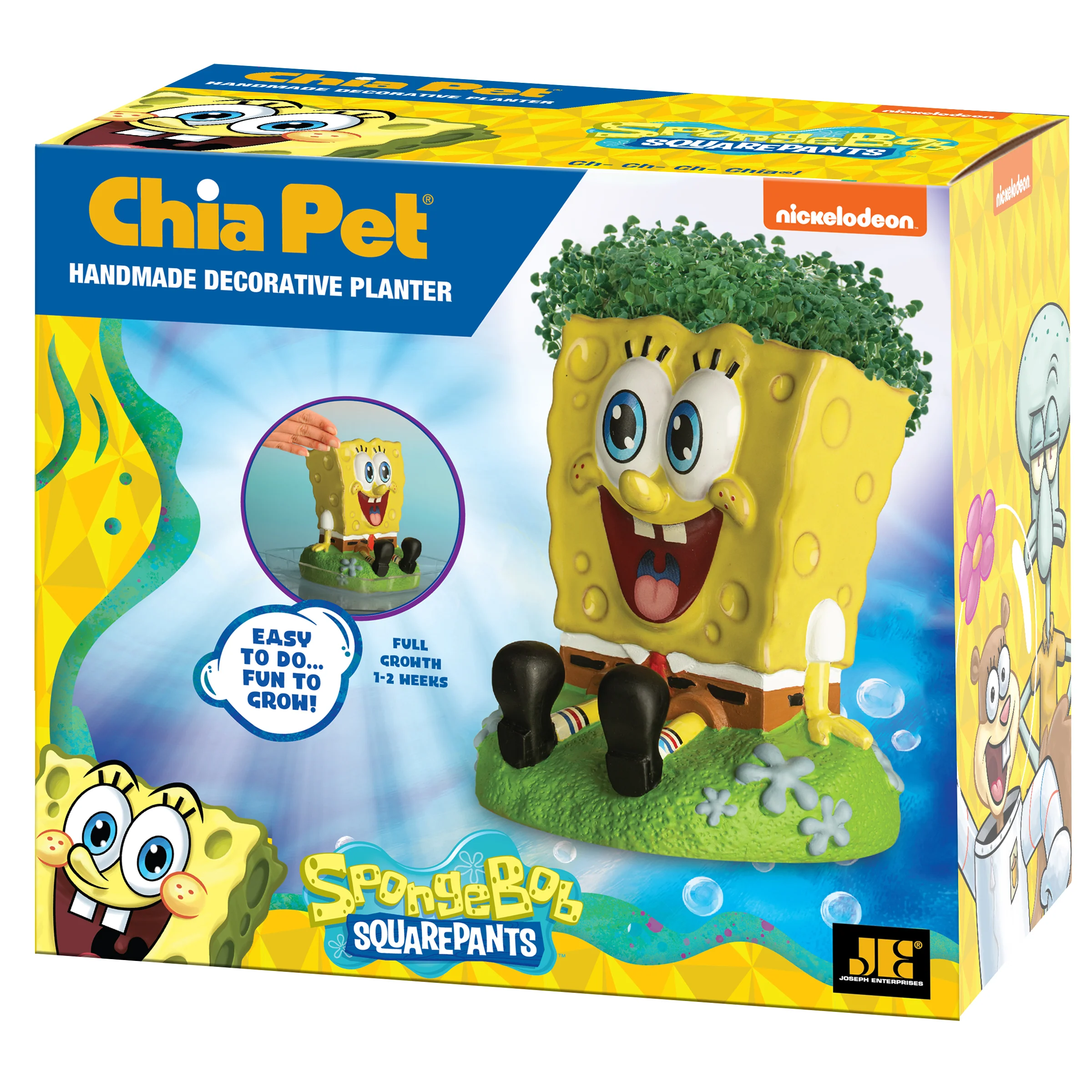 SpongeBob SquarePants Chia Pet® - Image 7