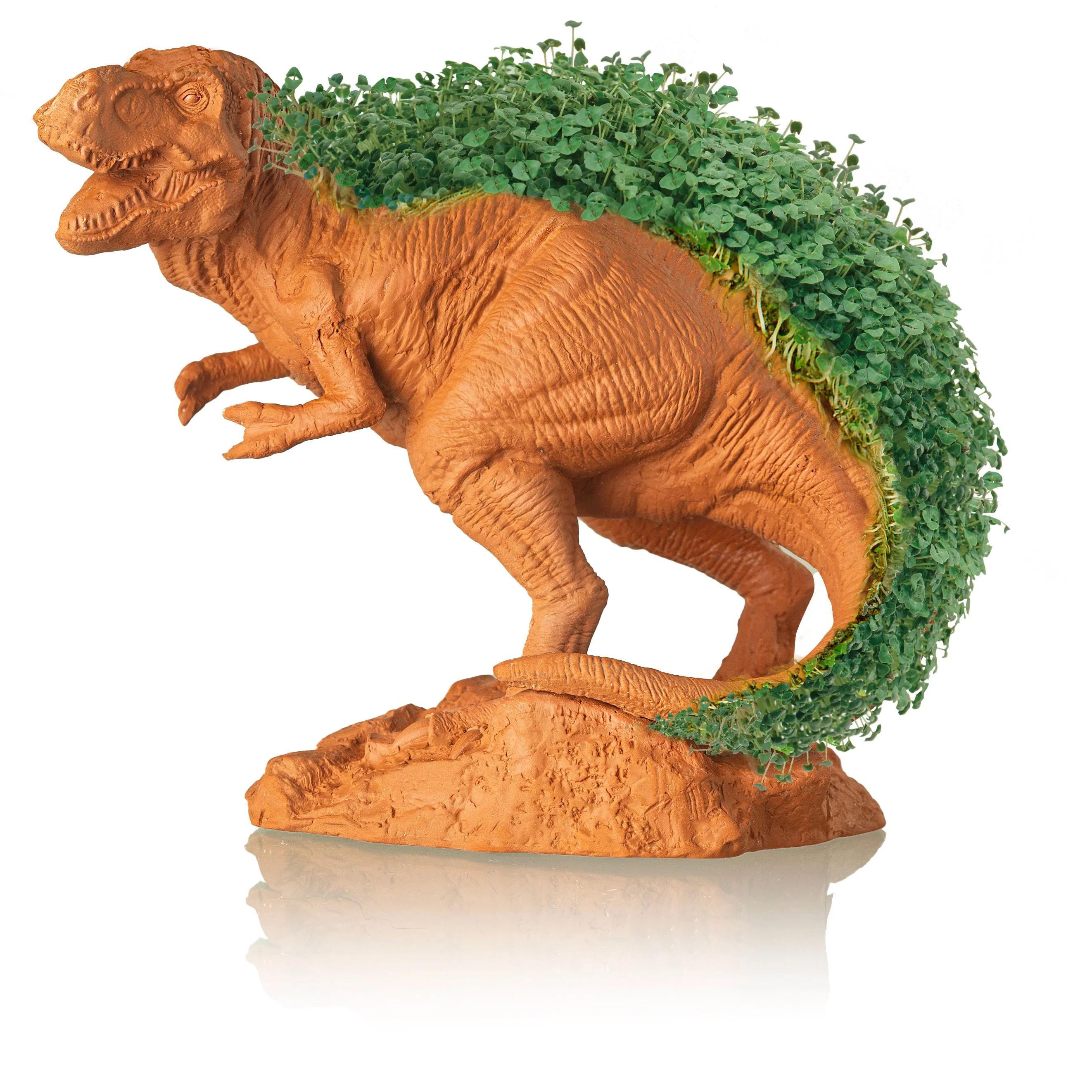 T-REX Chia Pet® - Image 3