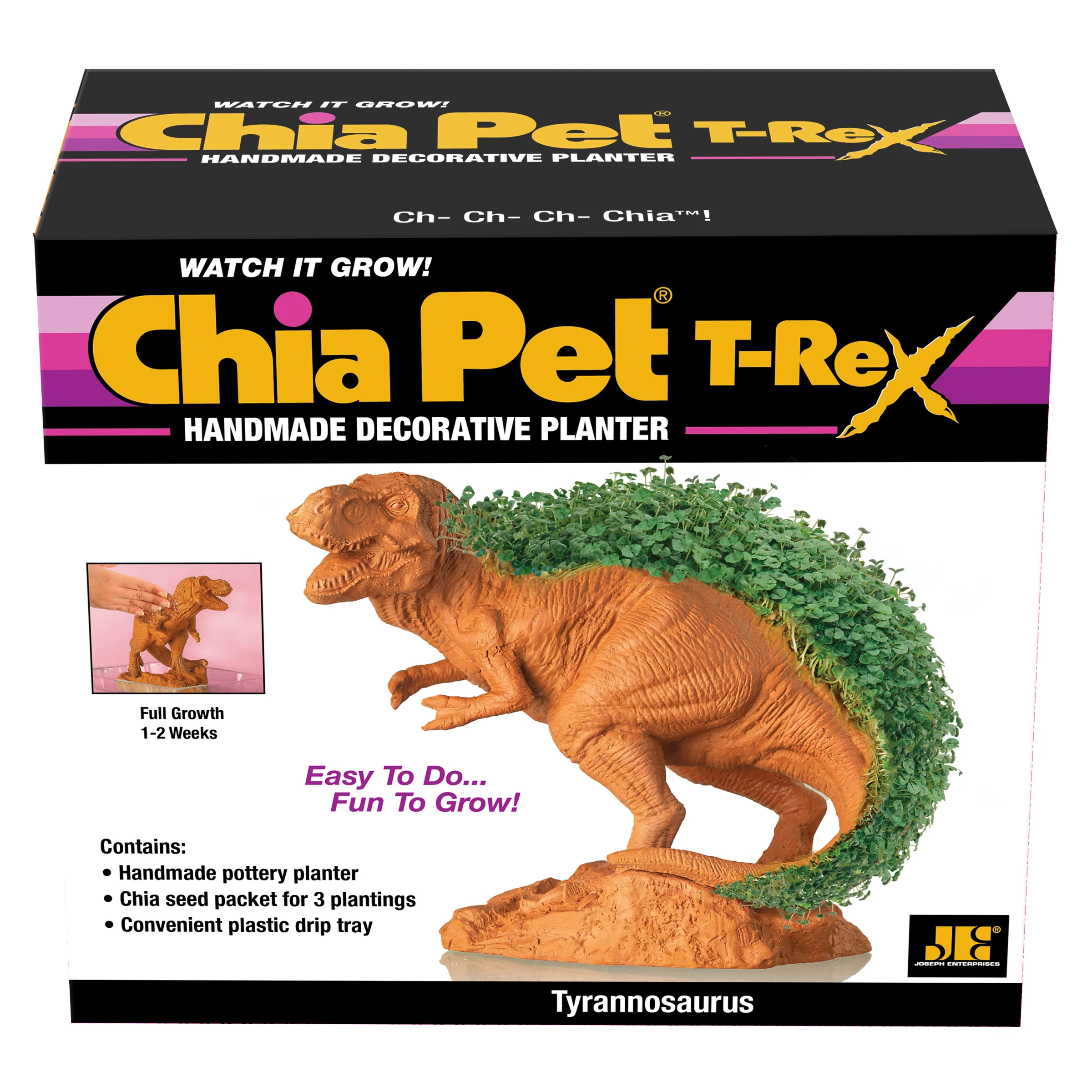 T-REX Chia Pet® - Image 6