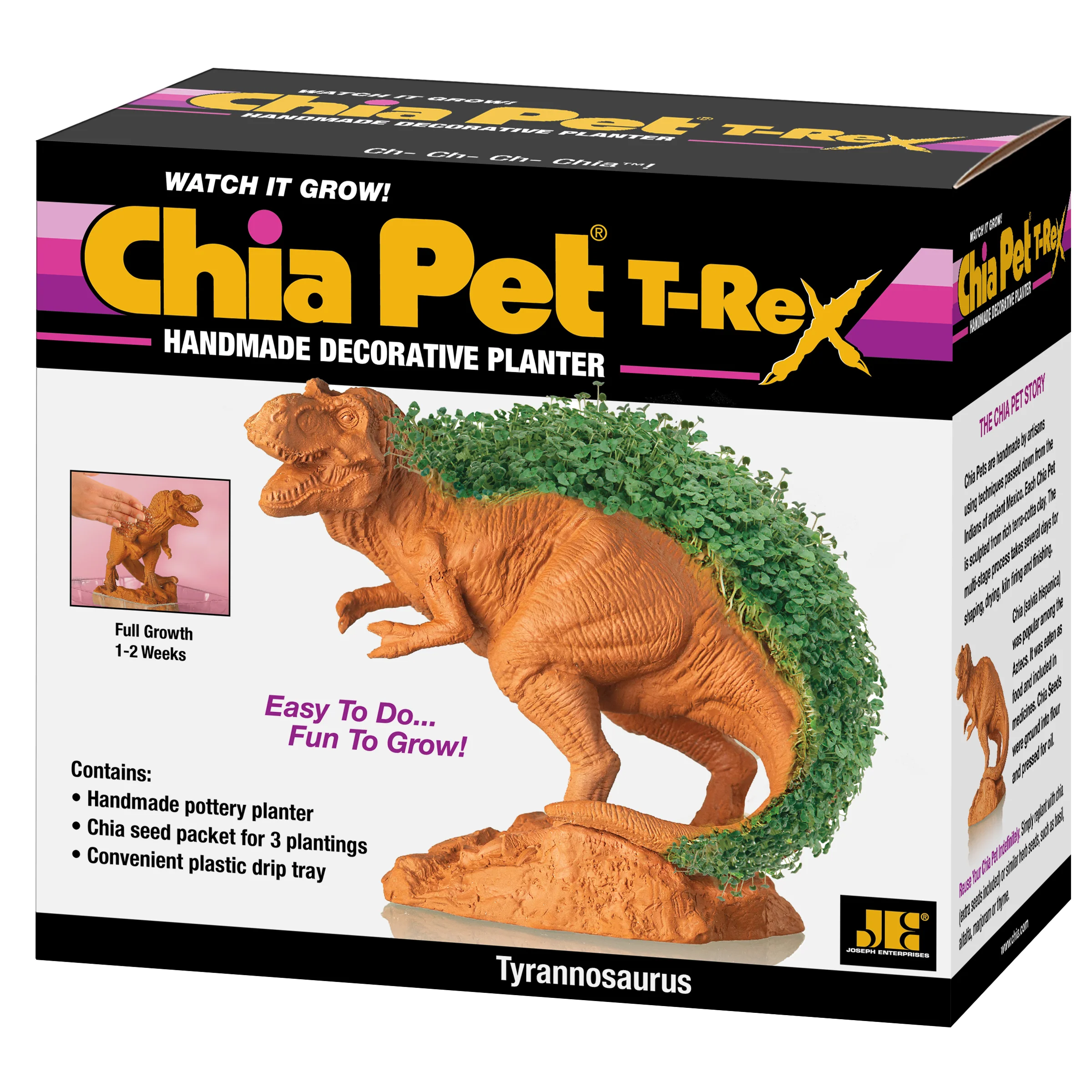 T-REX Chia Pet® - Image 7
