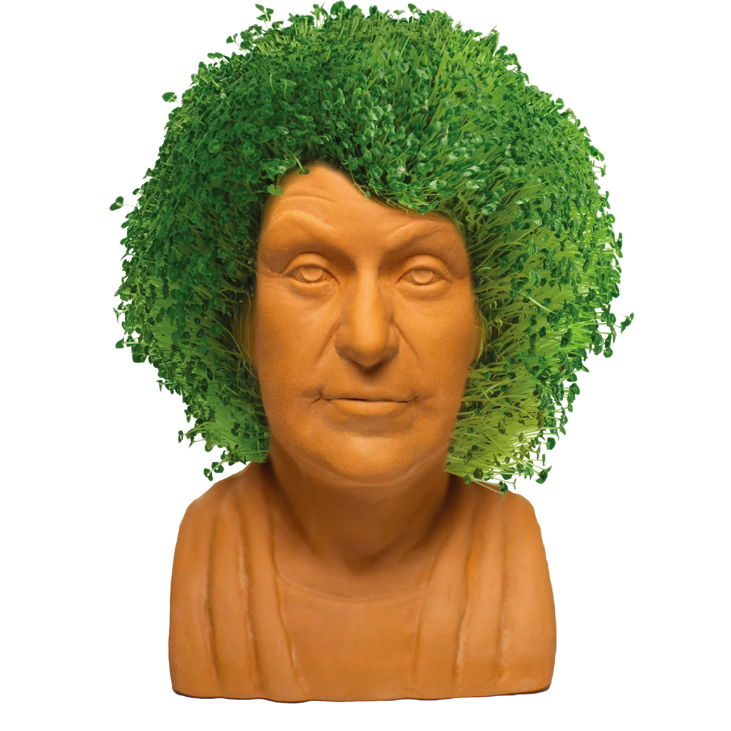 The Golden Girls Dorothy Chia Pet® - Image 4