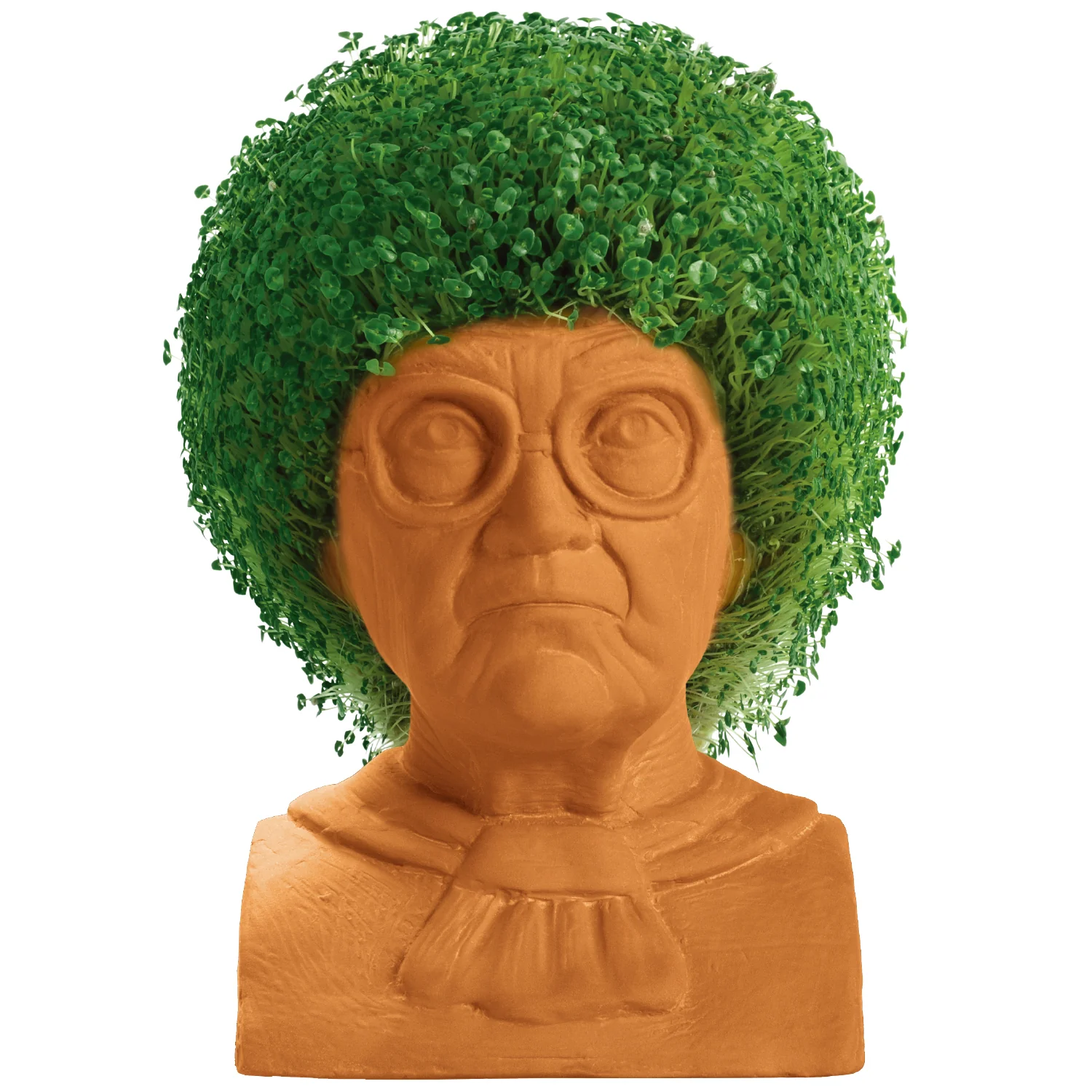The Golden Girls Sophia Chia Pet® - Image 4