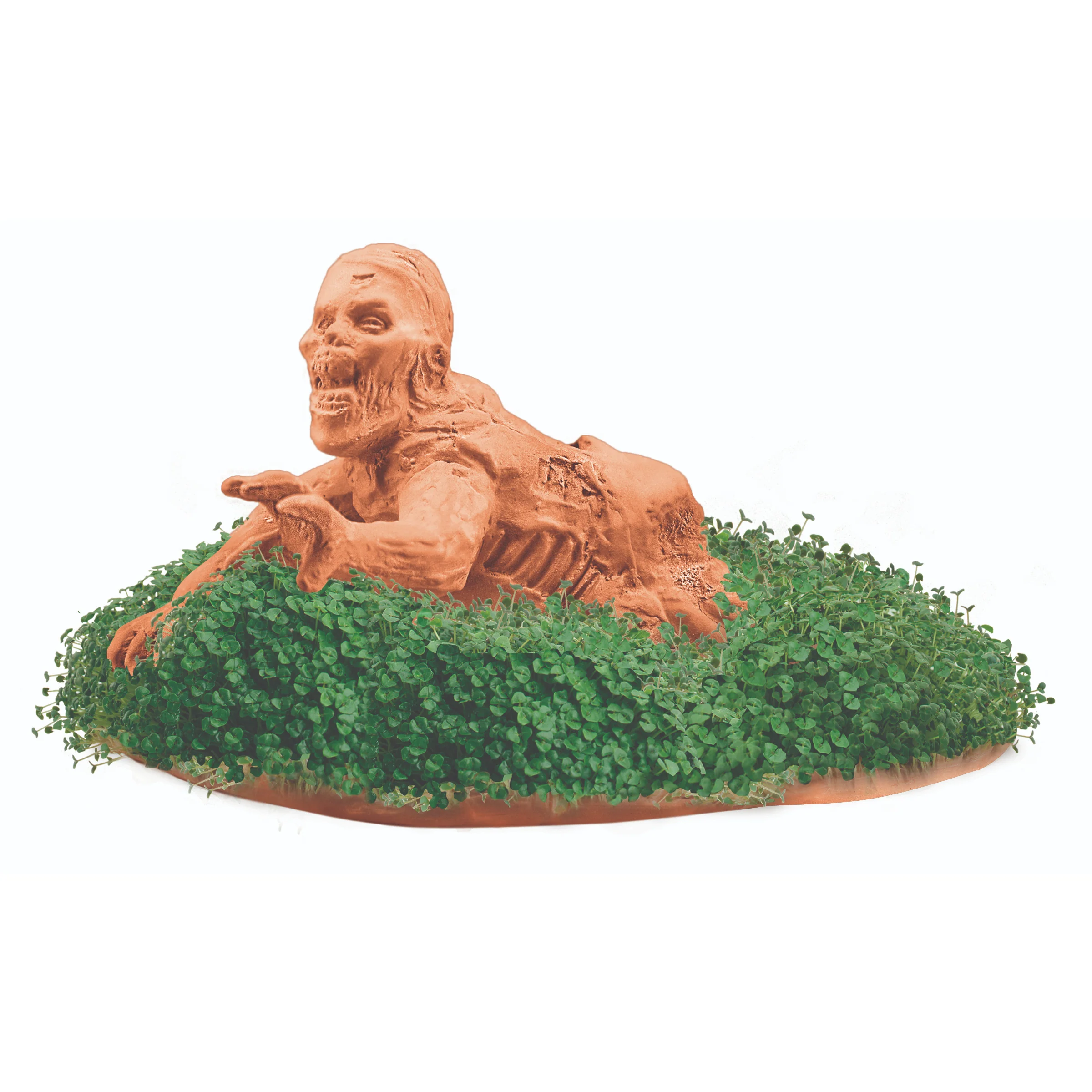 Zombie Crawler Chia Pet® - Image 3